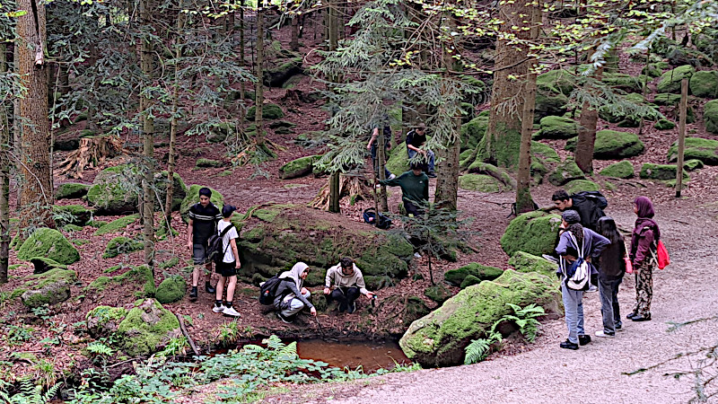 Wanderung auf dem Luchspfad im Bühlertal