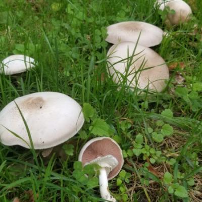 Herbstexkursion mit der J2